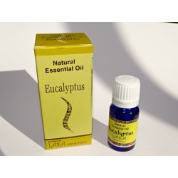 Natural essential oil (10 ml) EUCALYPTUS