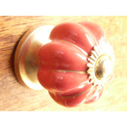             Mini pumpkin knobs unis red...