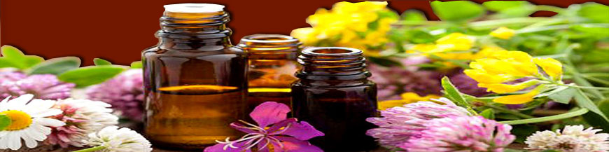 High quality essential oils from India.